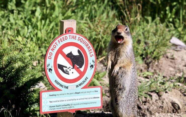 Number of danger warnings Number of danger warnings